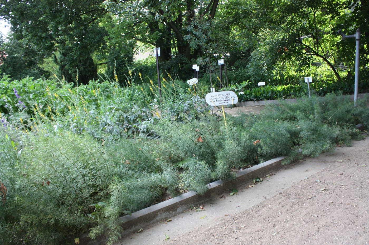 Botanical garden at Kraví hora