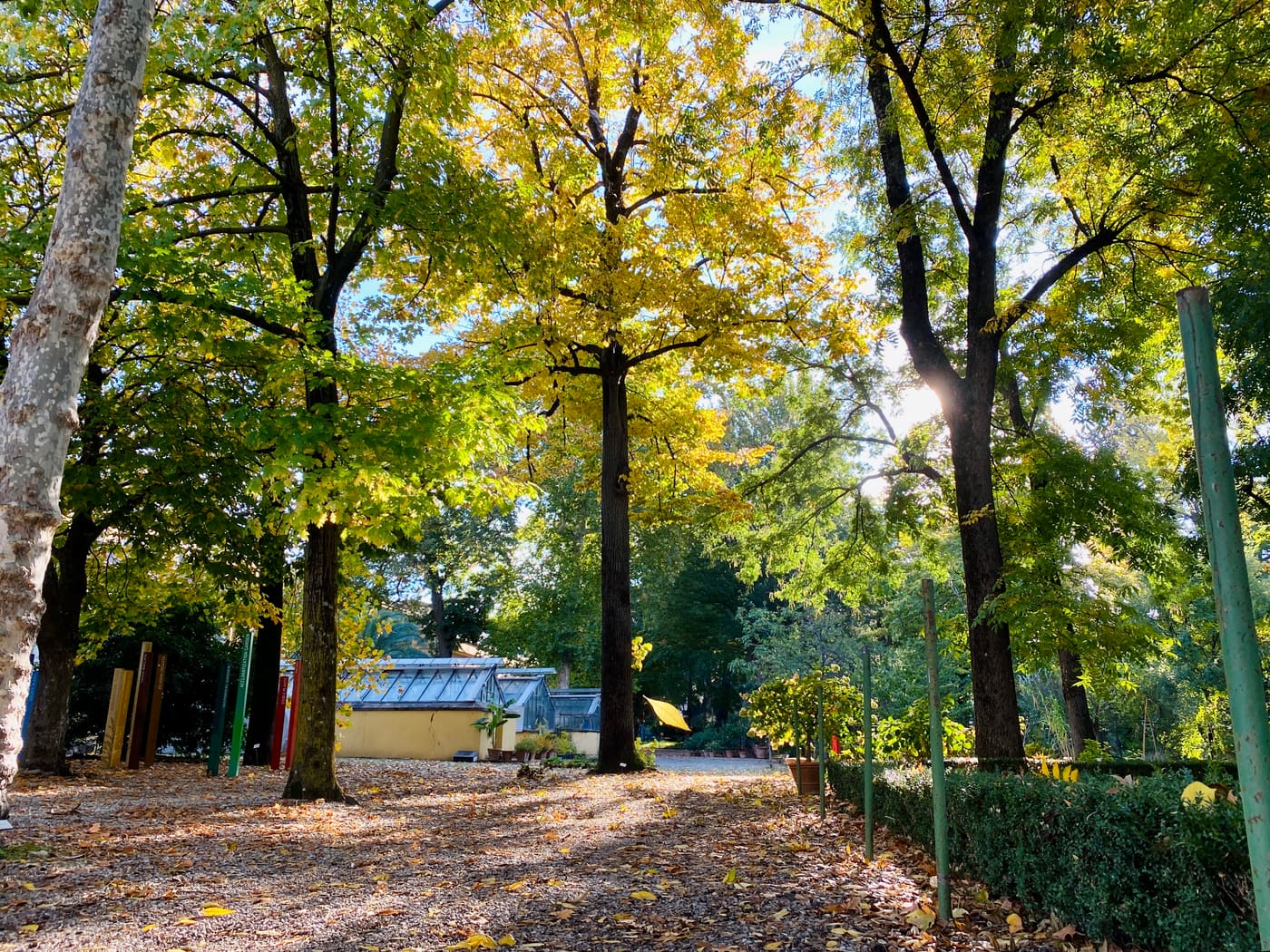 Botanical Garden of Florence