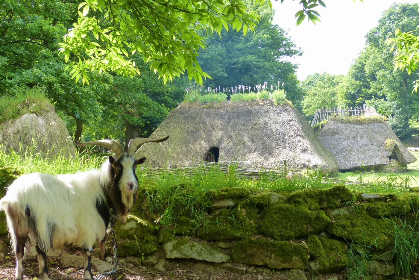 Village de l'an Mil