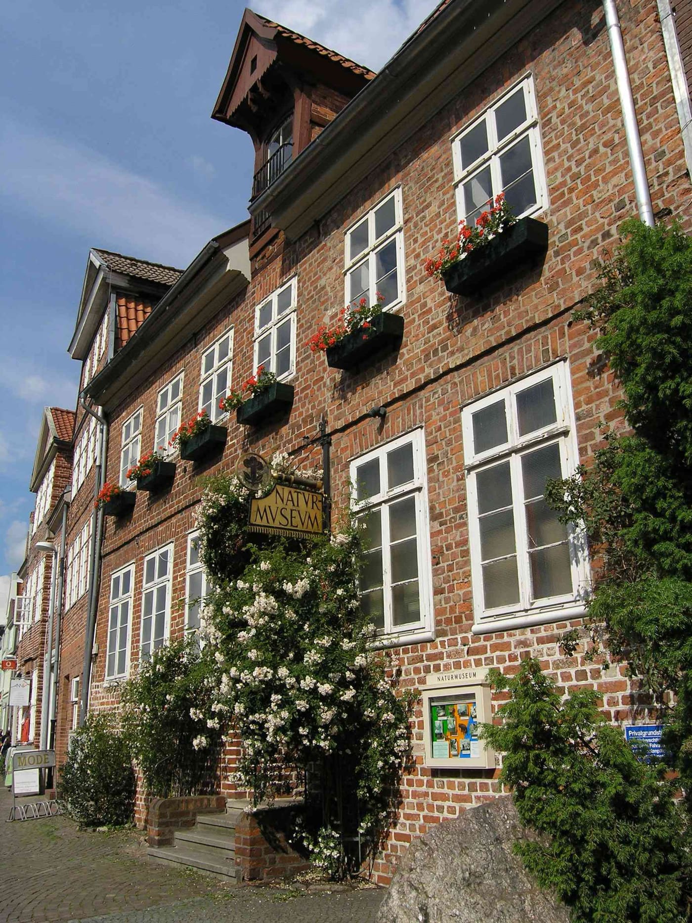 Naturmuseum Lüneburg