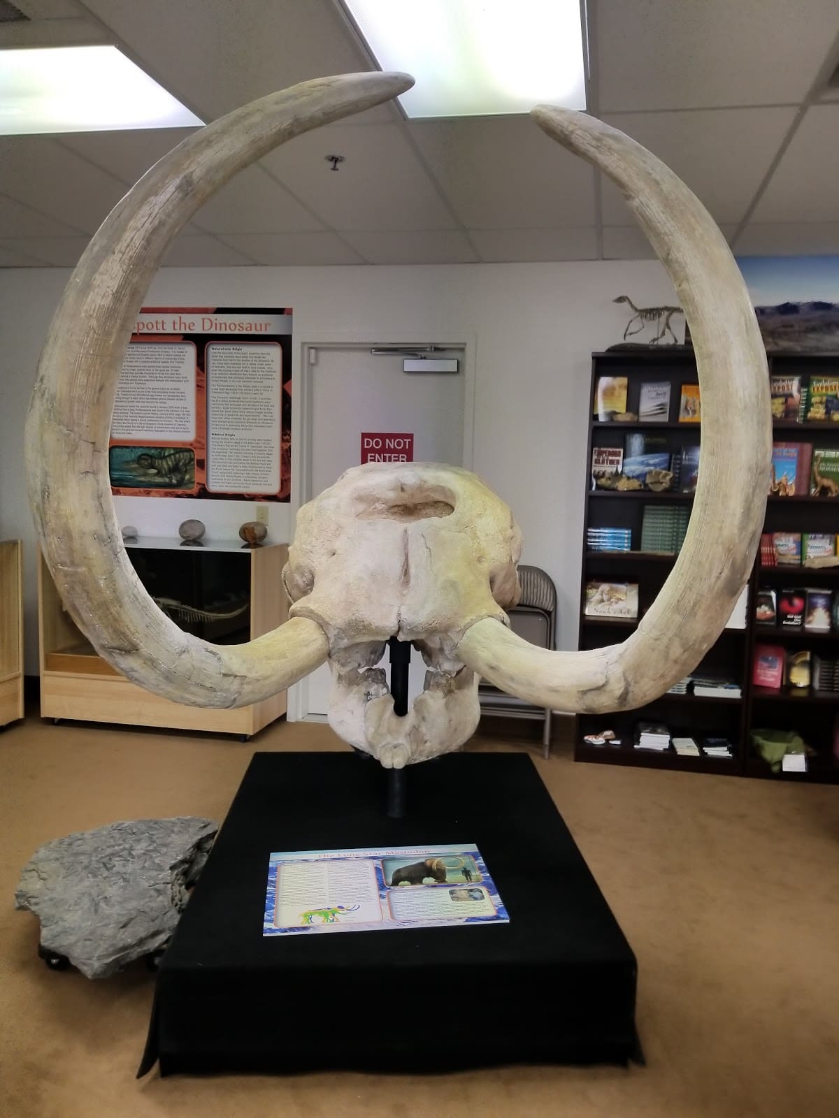 Northwest Science Museum