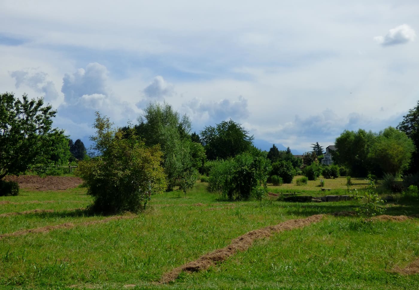Jardin Vagabond