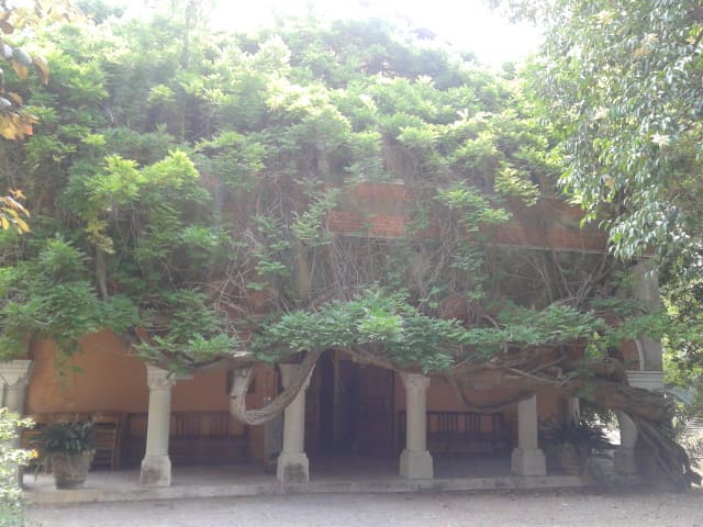 Bicknell Museum