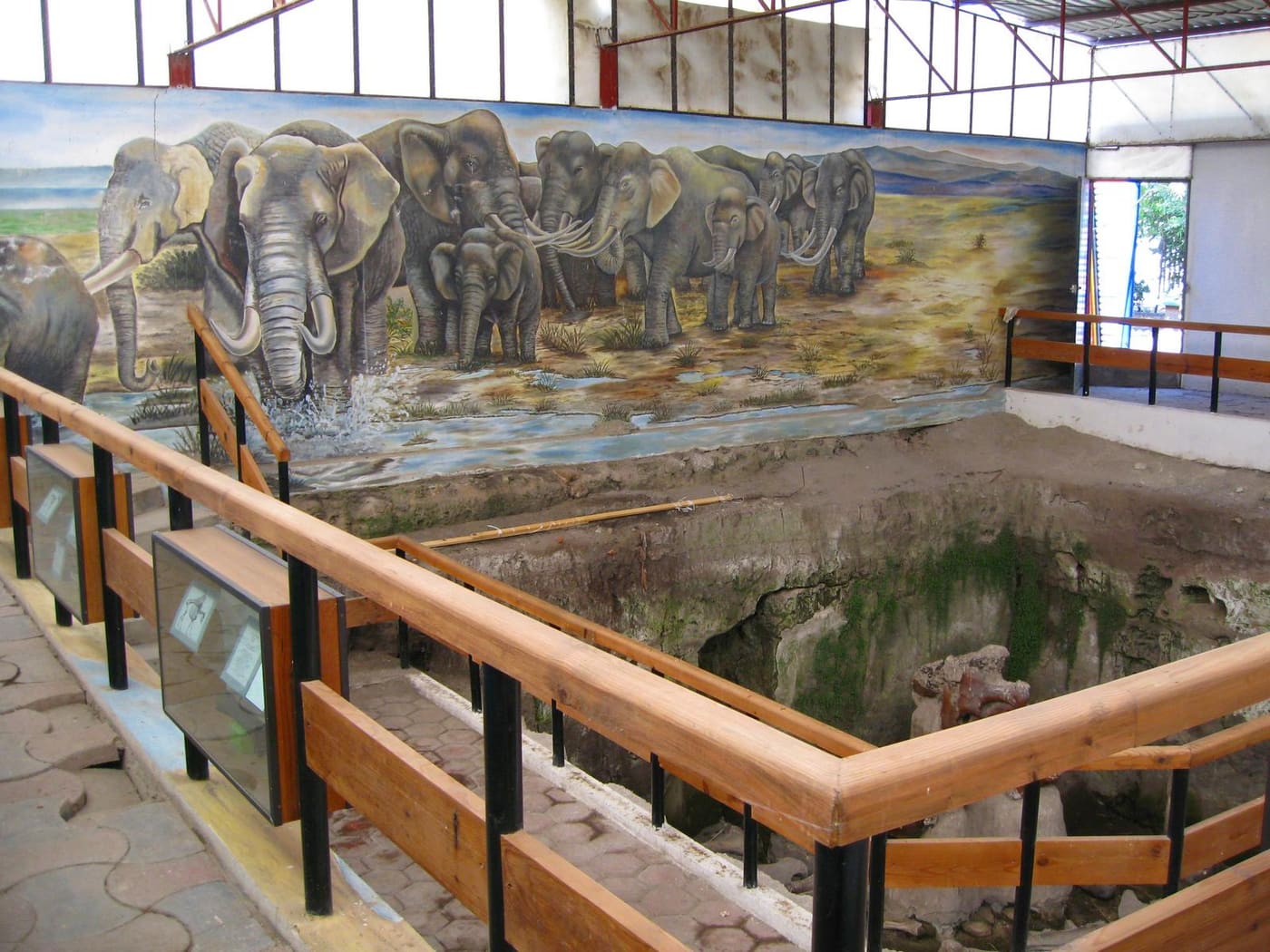 Paleontological Museum in Tocuila