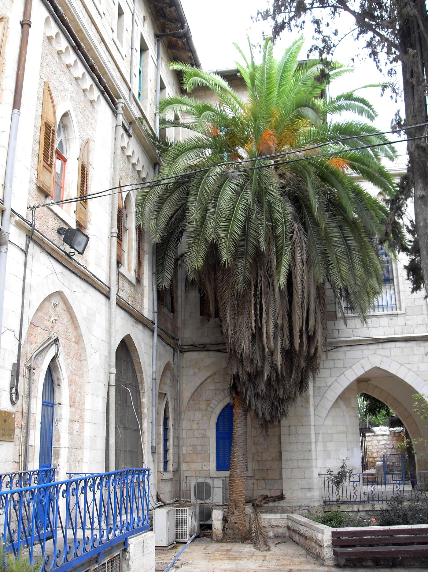 Umberto Nahon Museum of Italian Jewish Art