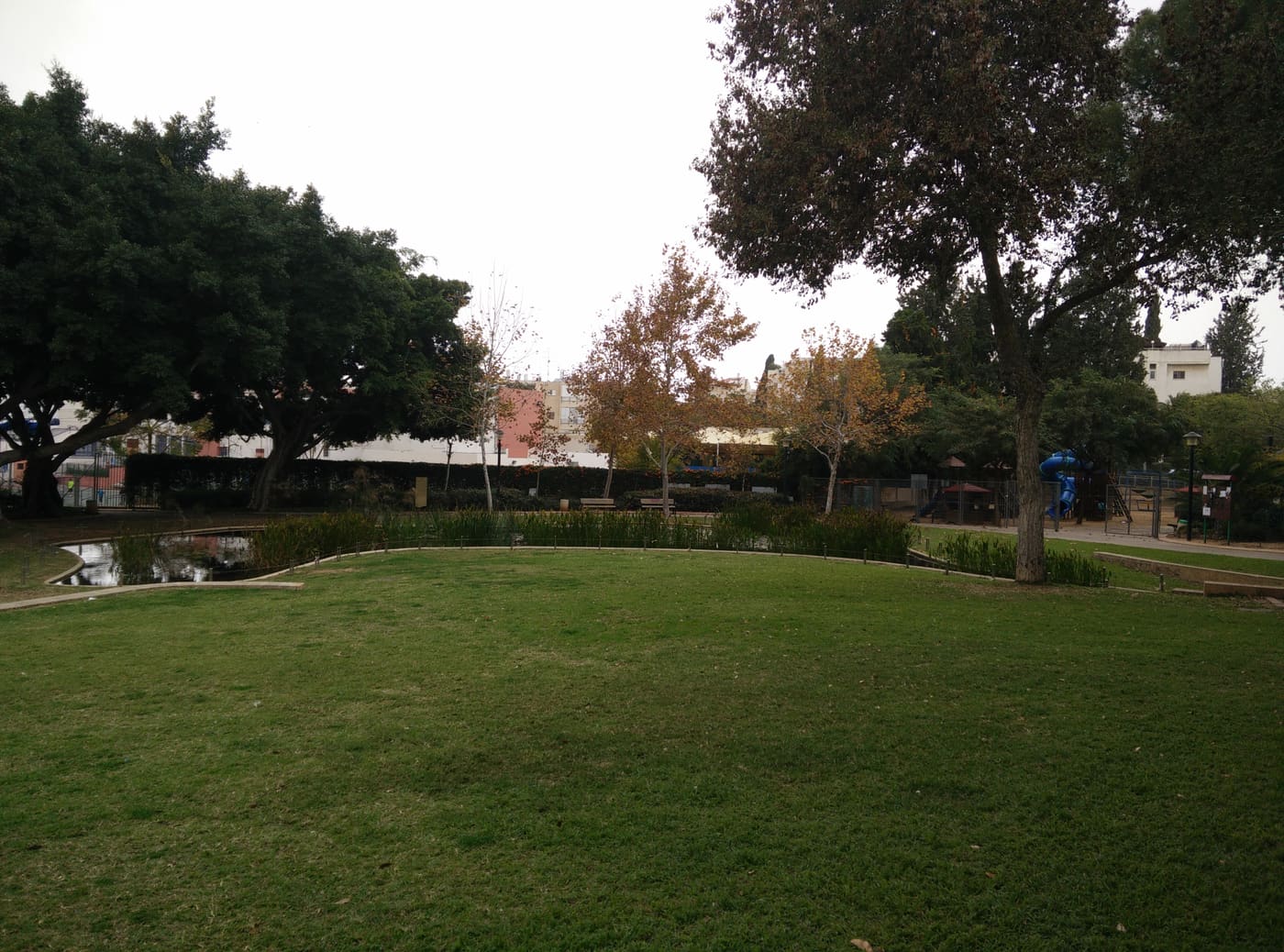 Ben Sheffer Garden