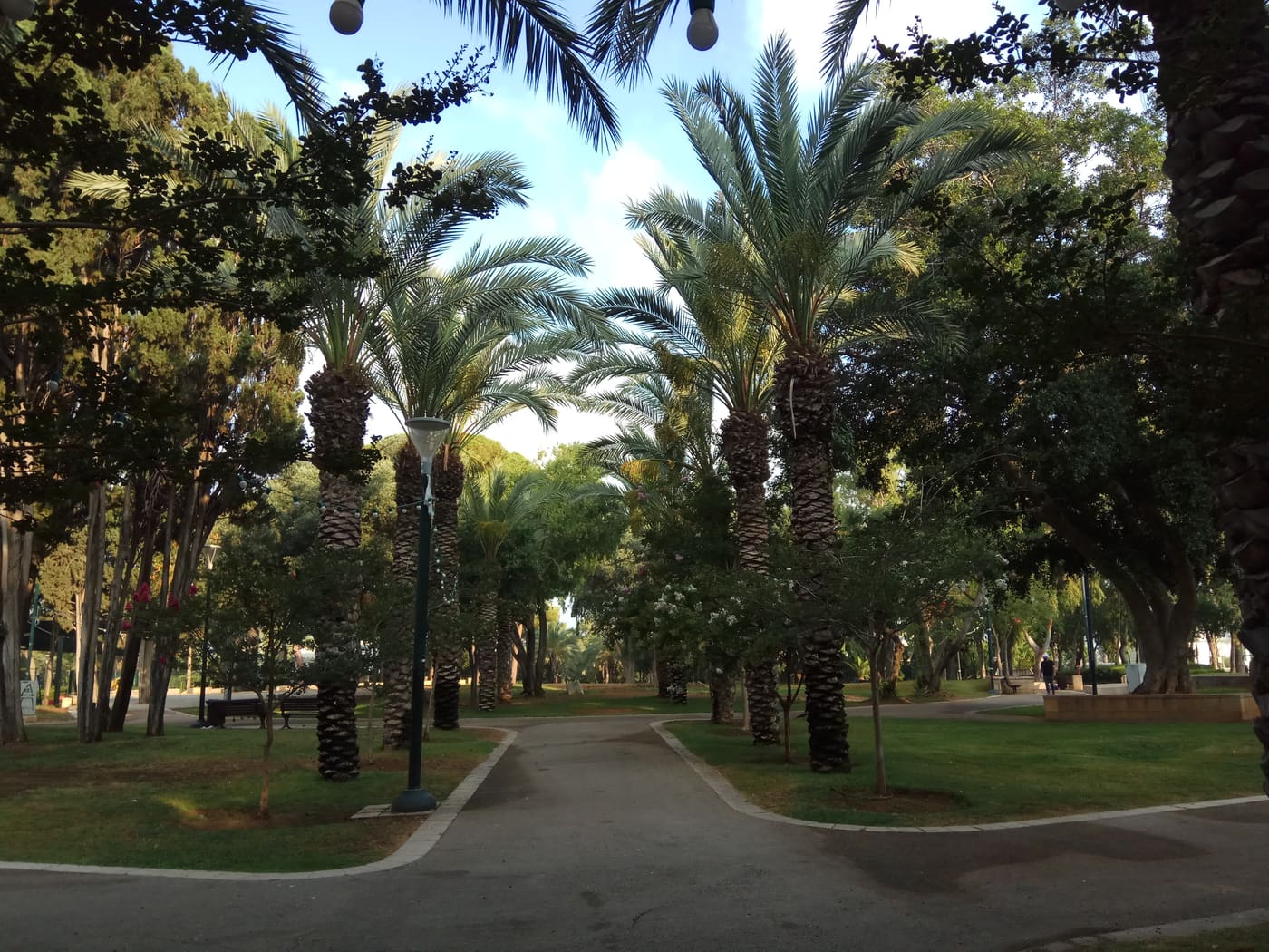 Vriesland Garden