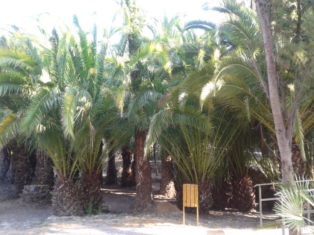 Winter Gardens