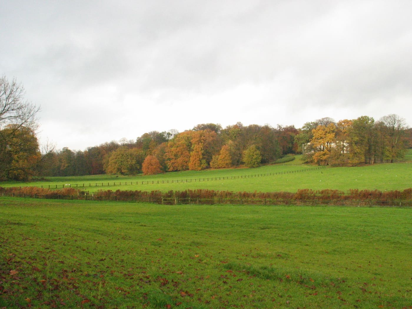 Sonsbeek Park