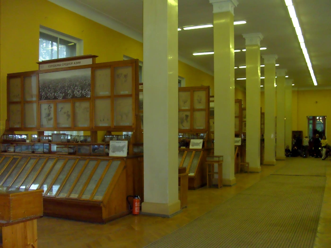 Soil and Agronomy Museum of V.R. Williams