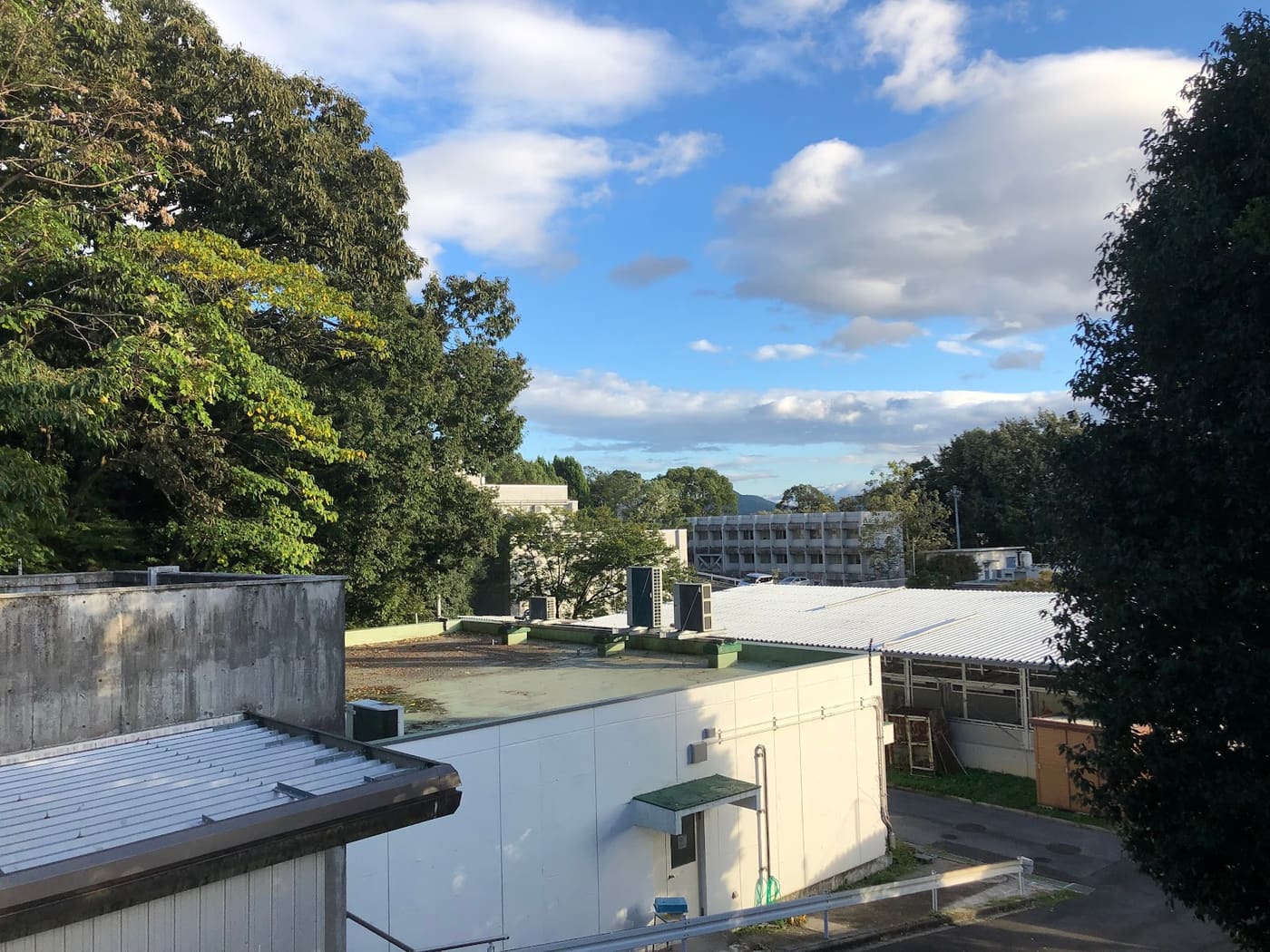 Primate Research Institute