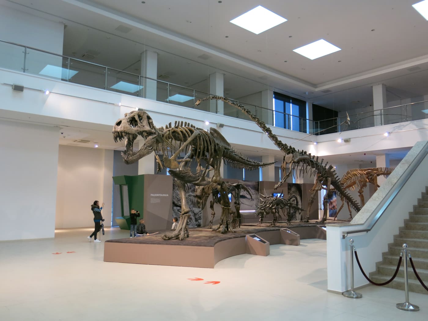 Natural History Center Svilajnac
