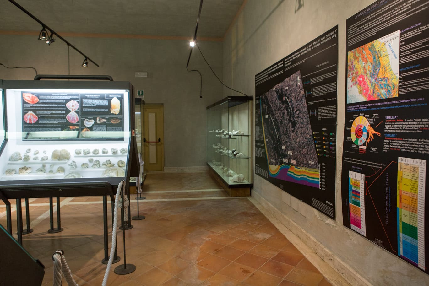 Museo Archeologico 'G. Moretti'