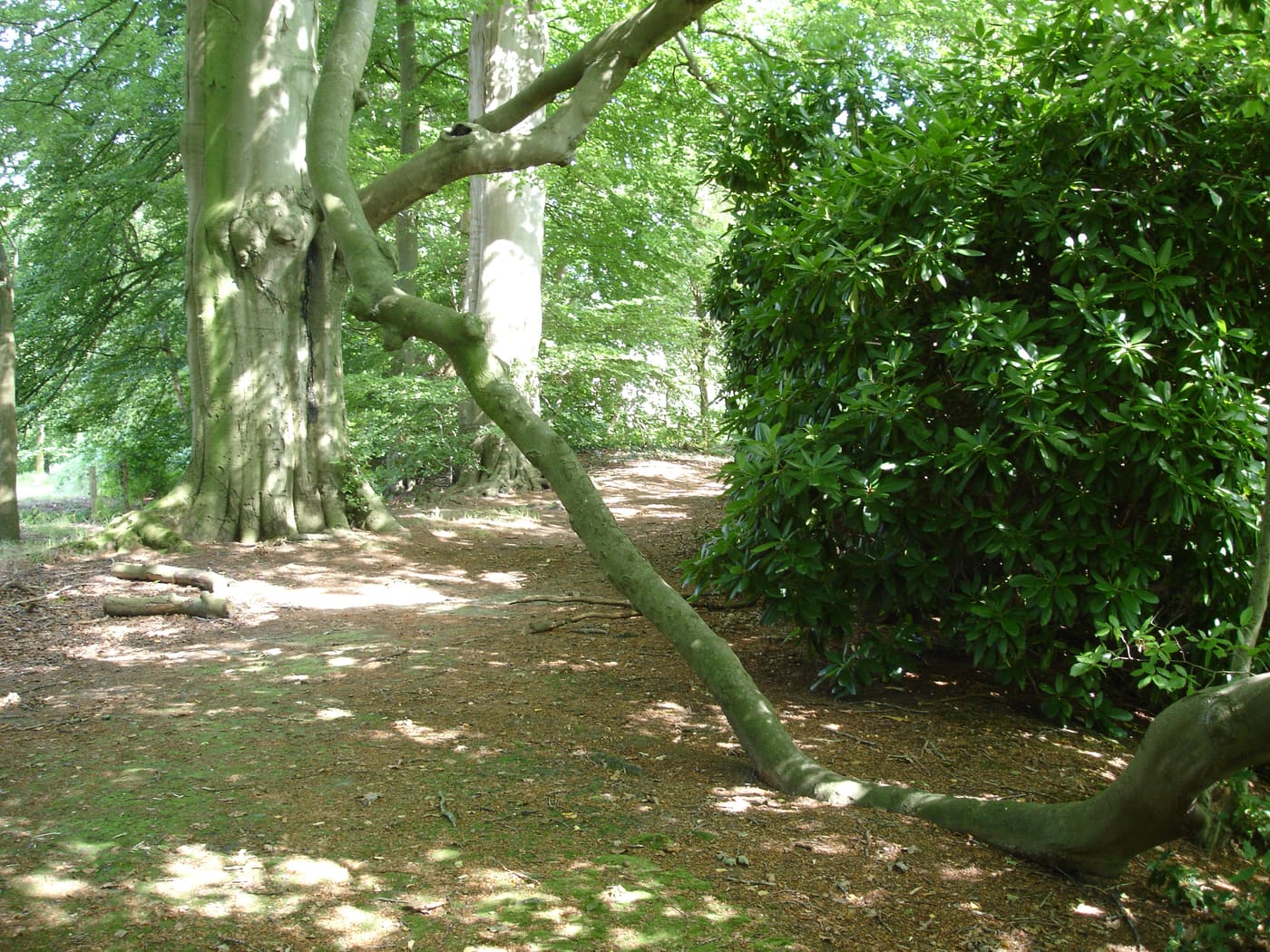 Vennebroek