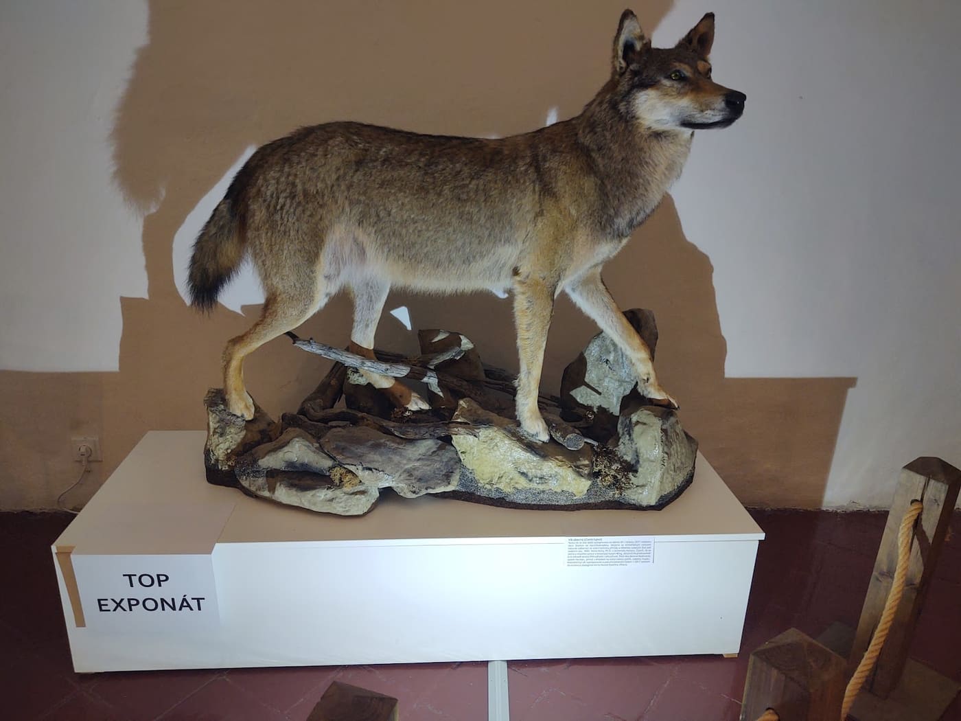 Muzeum Vysočiny