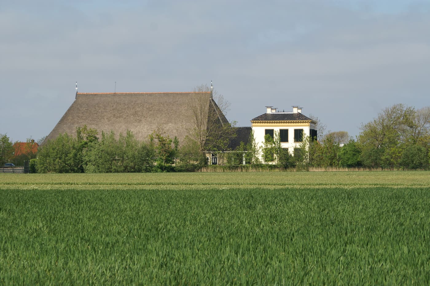 Roptastate