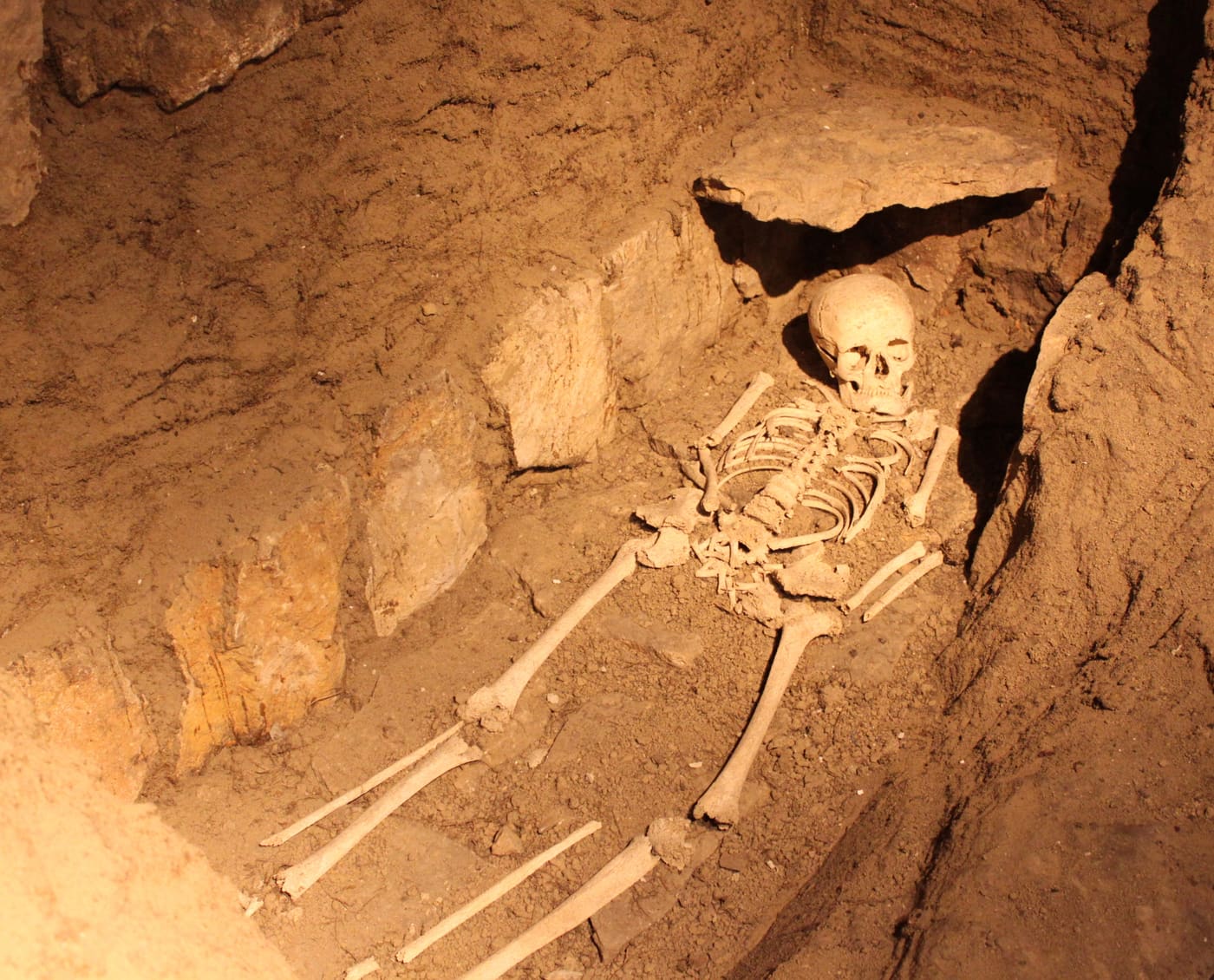 Museé municipal de Nuits-Saint-Georges