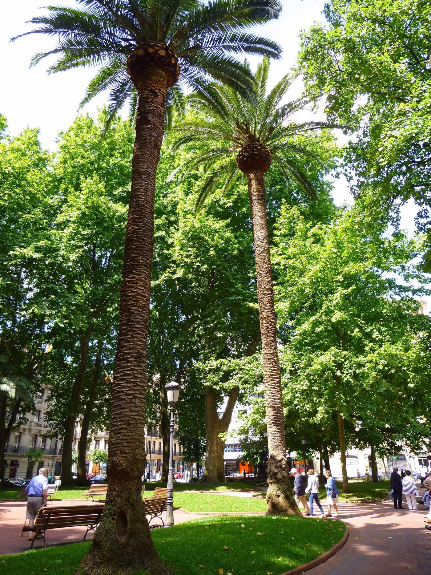 Jardines de Albia