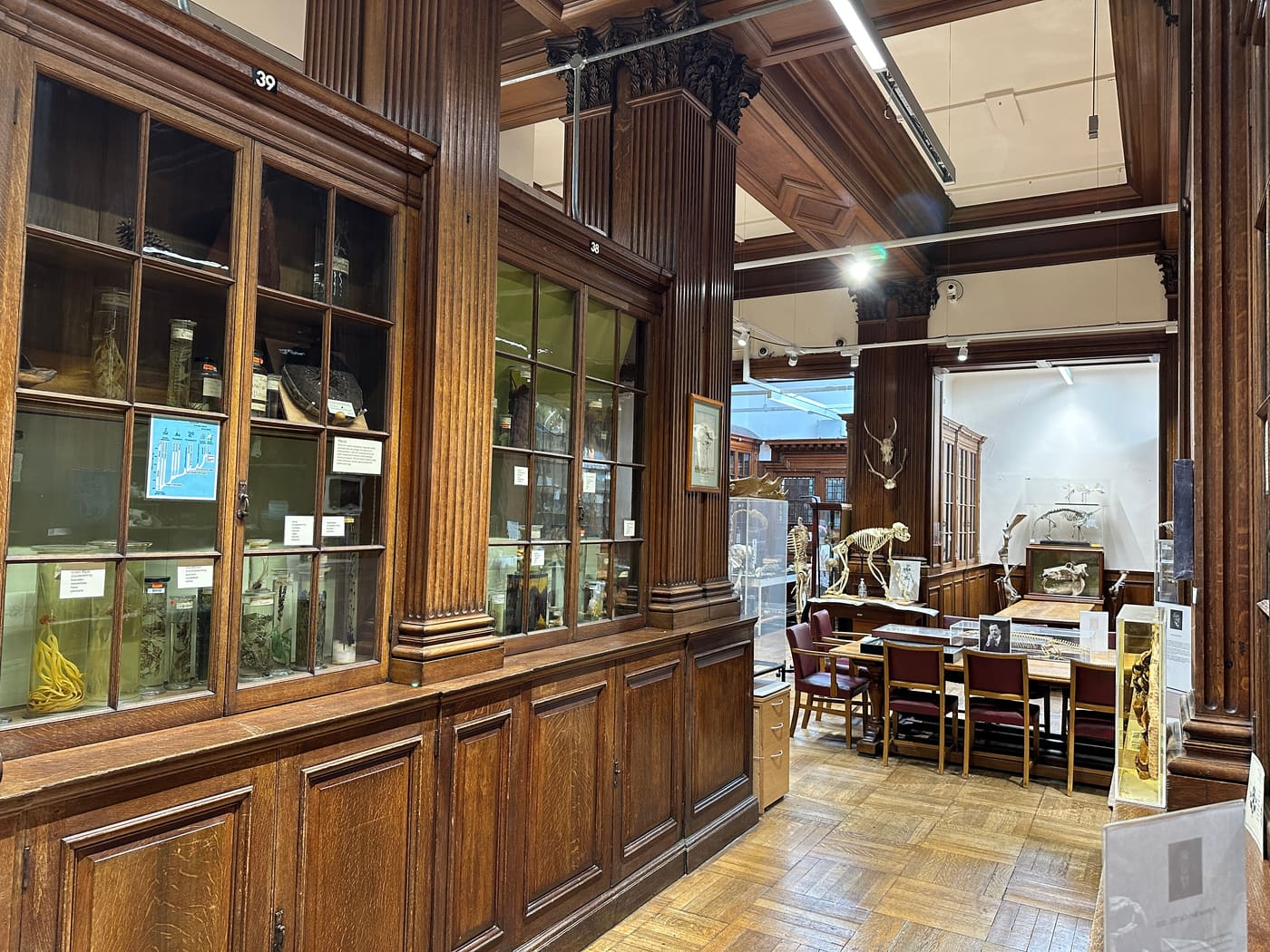 Museum of Life Sciences