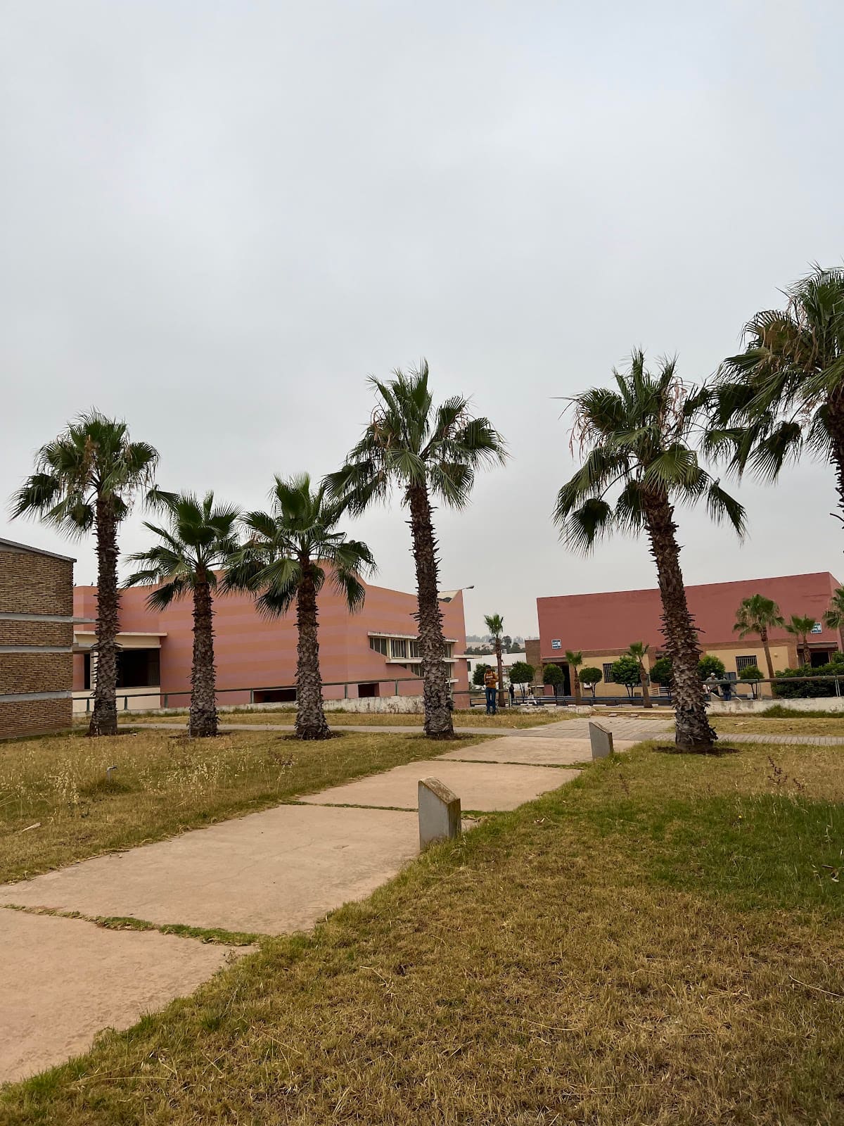 Université Hassan 1er