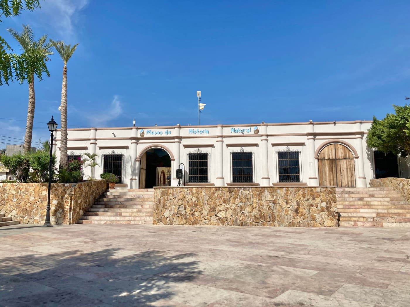 Museum of Natural History in Cabo San Lucas