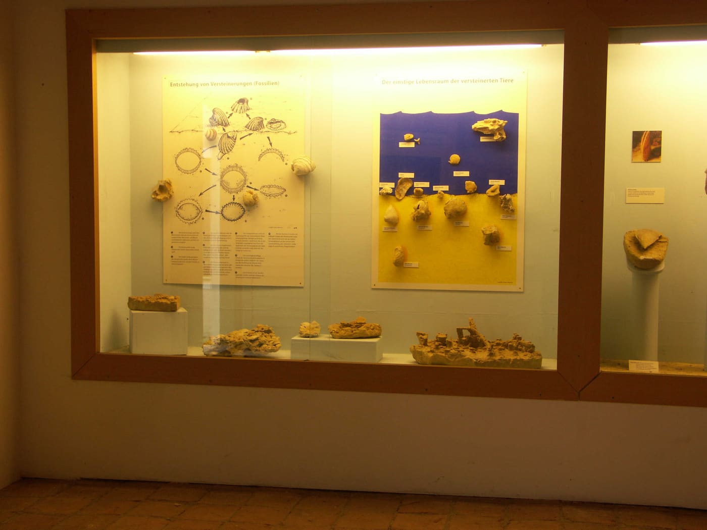 Fossilienschauraum Obernholz