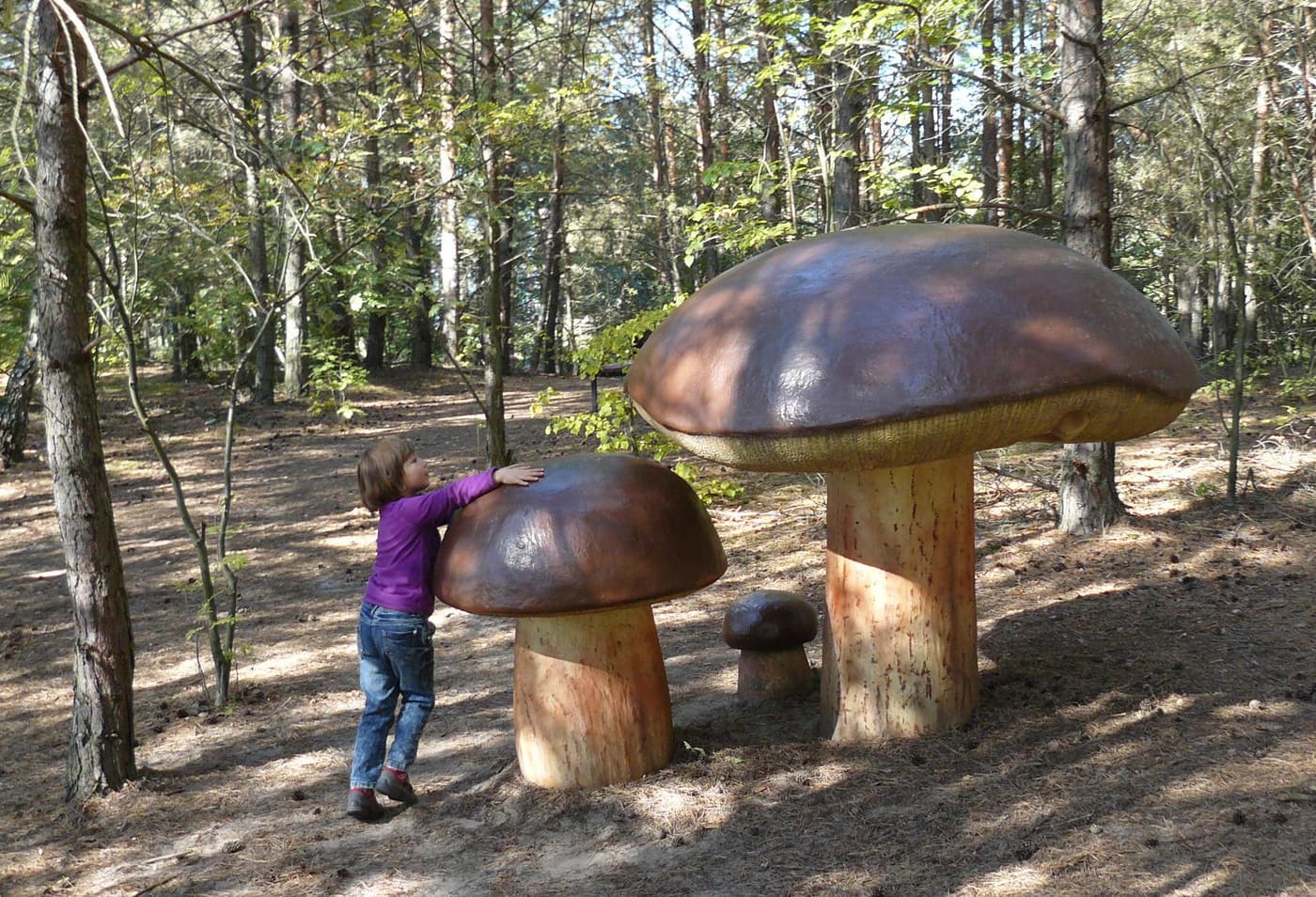 Park Grzybowy w Piłce
