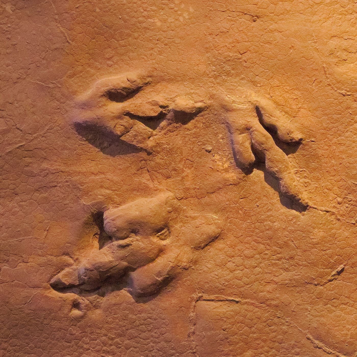 St. George Dinosaur Discovery Site