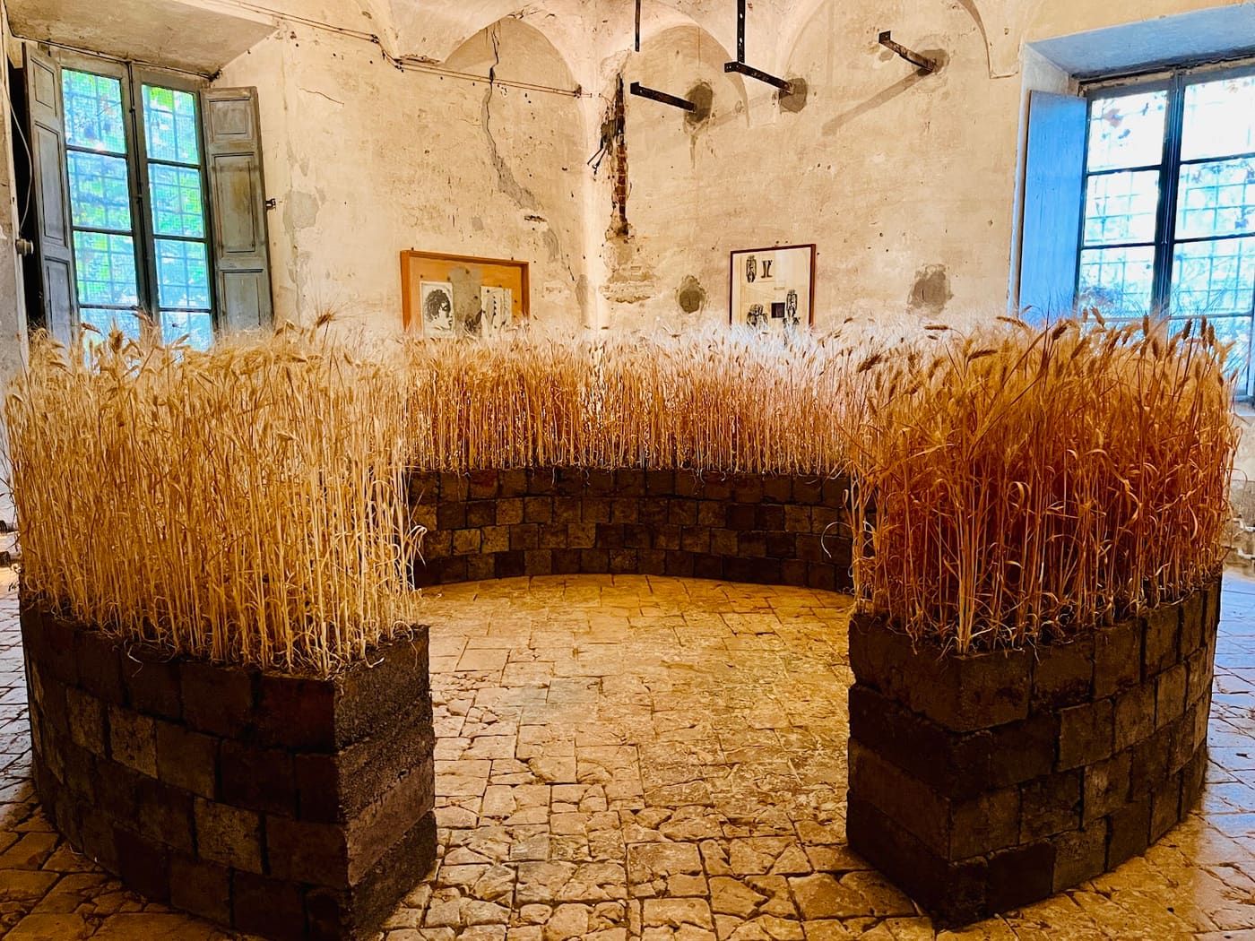 shit museum