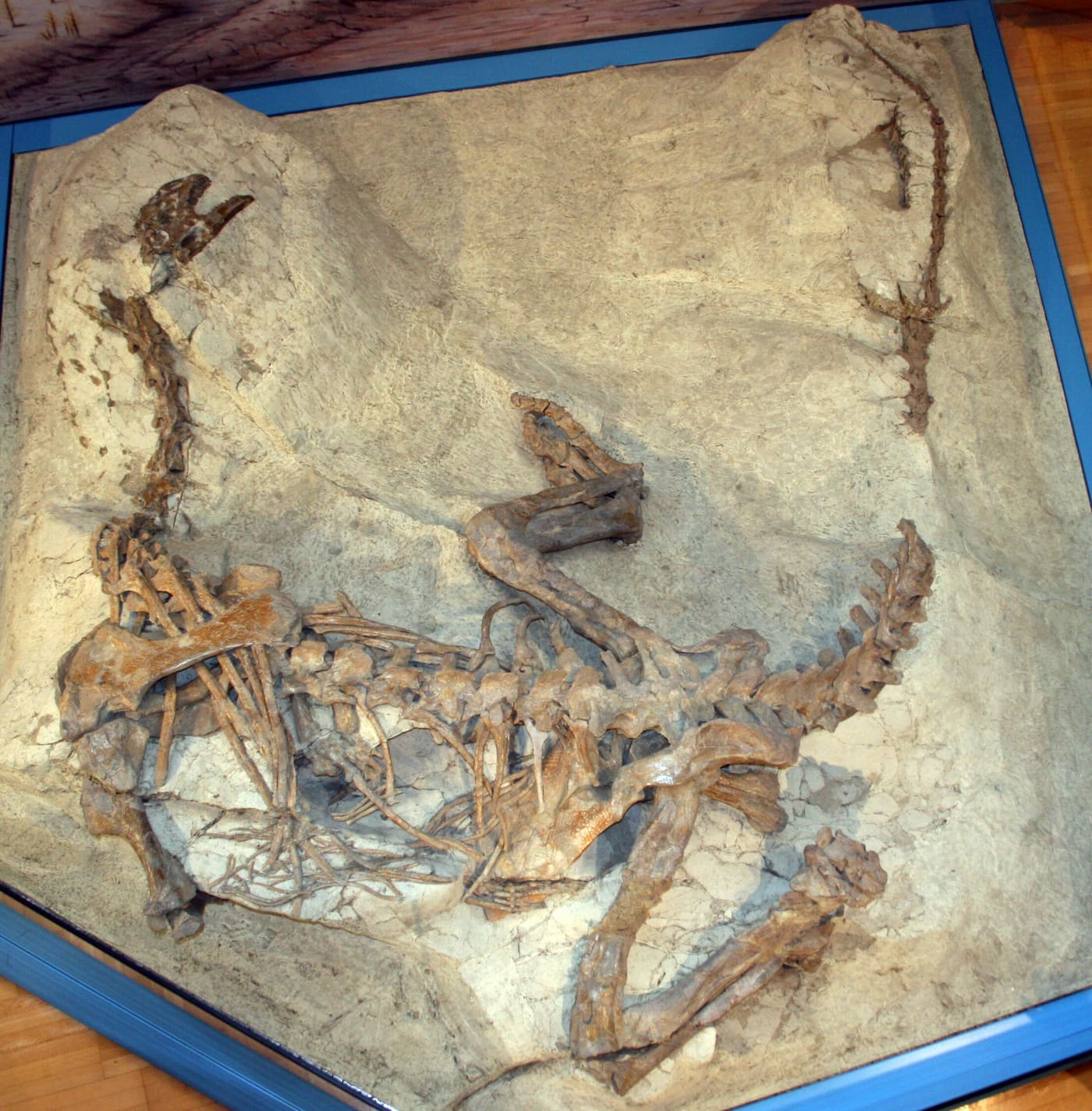 Frick Dinosaur Museum