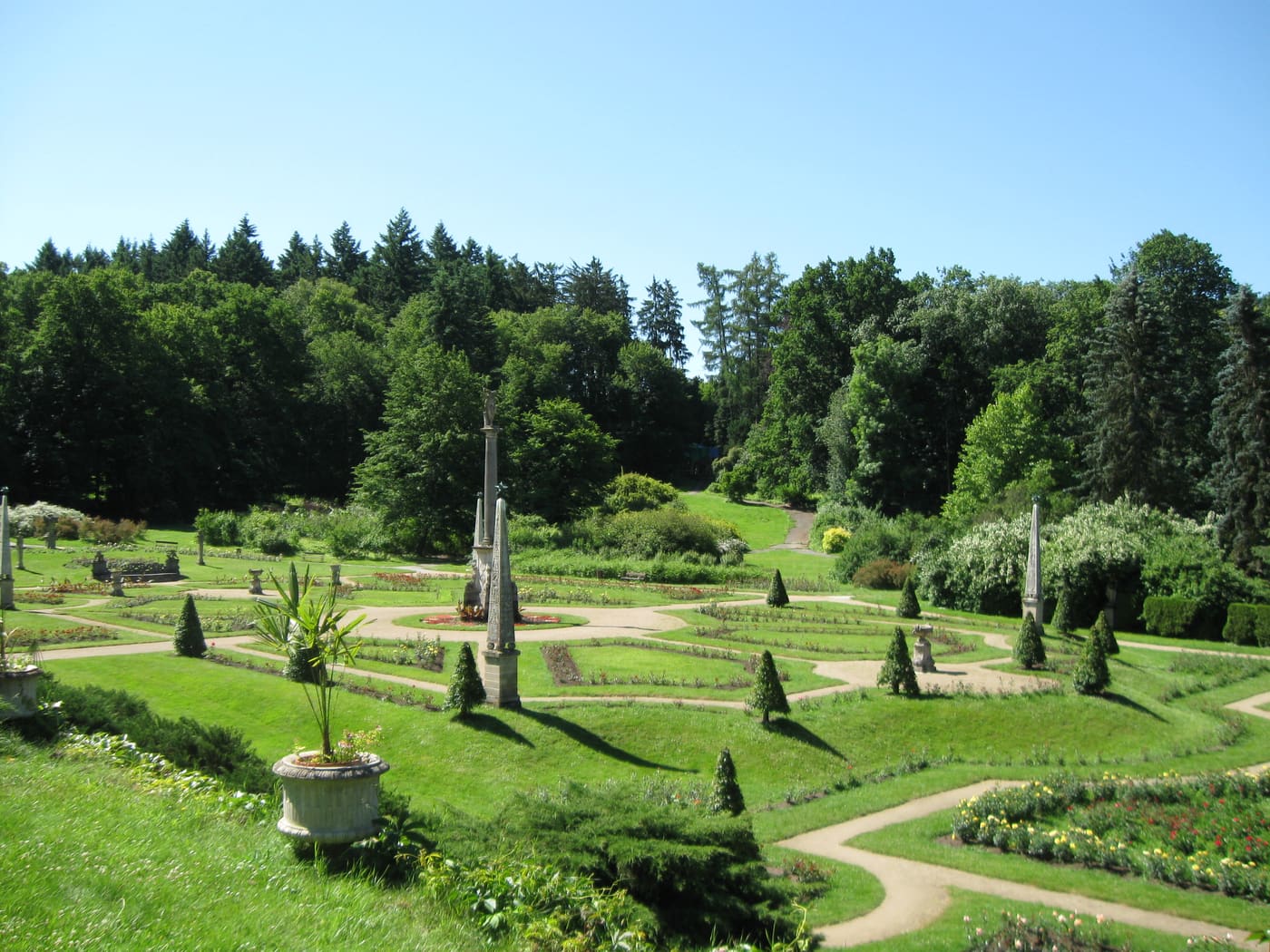 Rose Garden