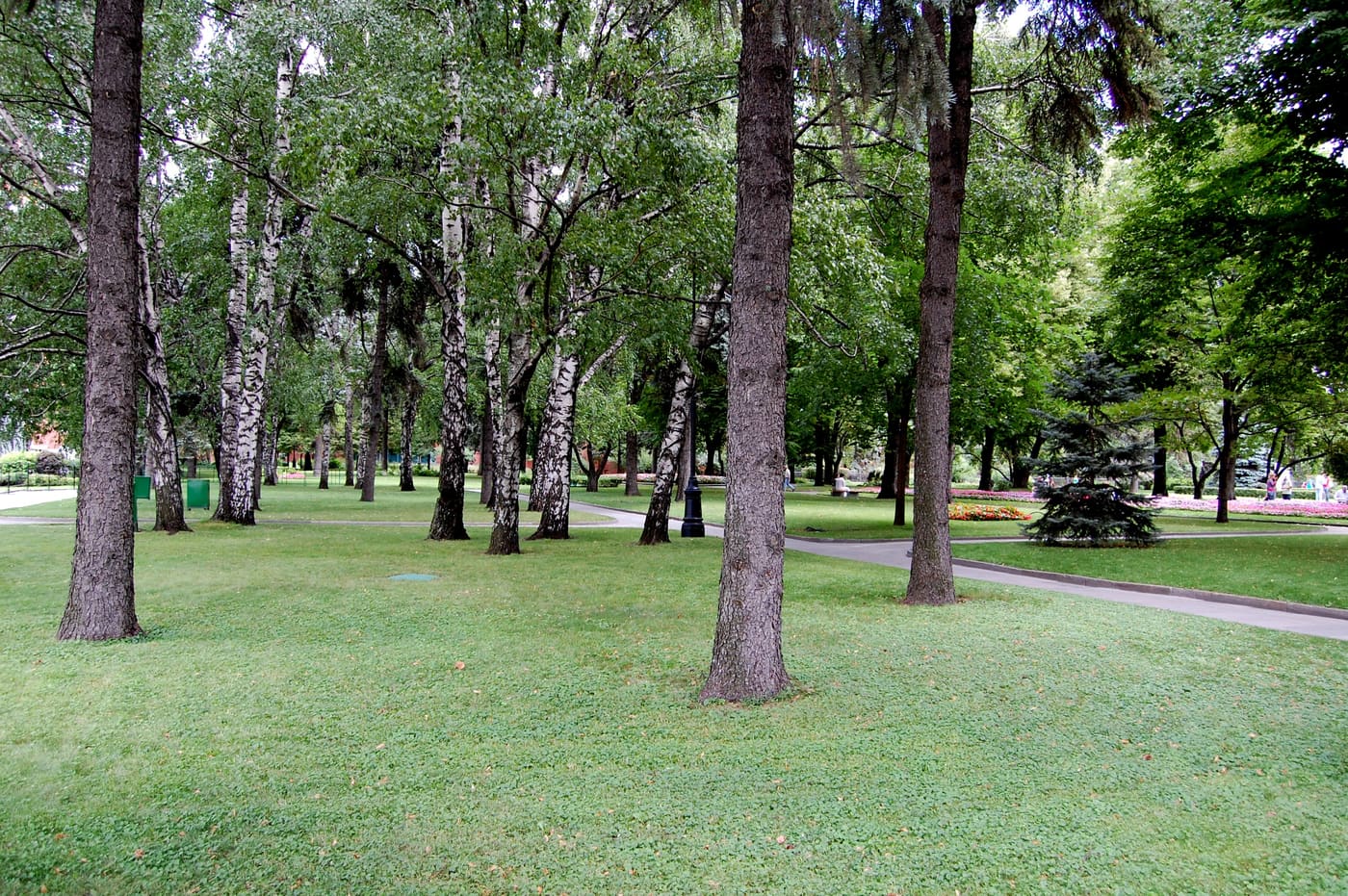Taynitsky Garden