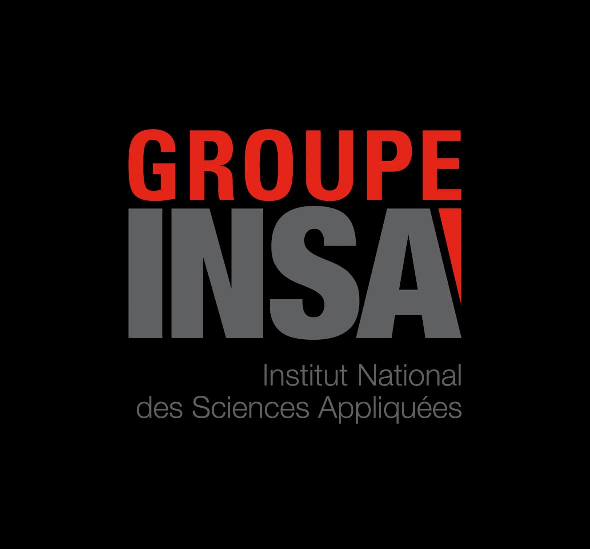 INSA Euro-Méditerranée