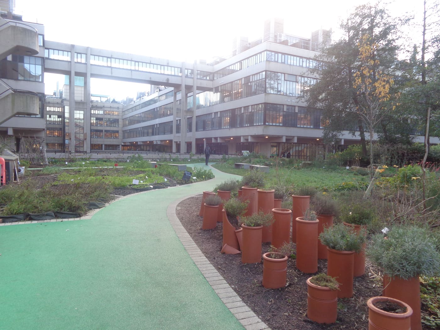 Sustainable Garden
