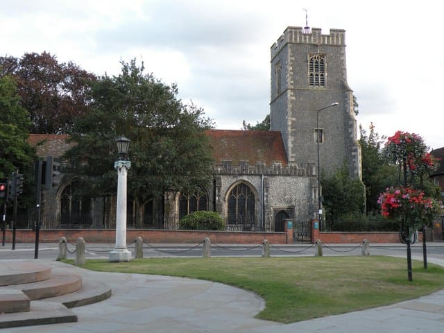 Natural History Museum, Colchester