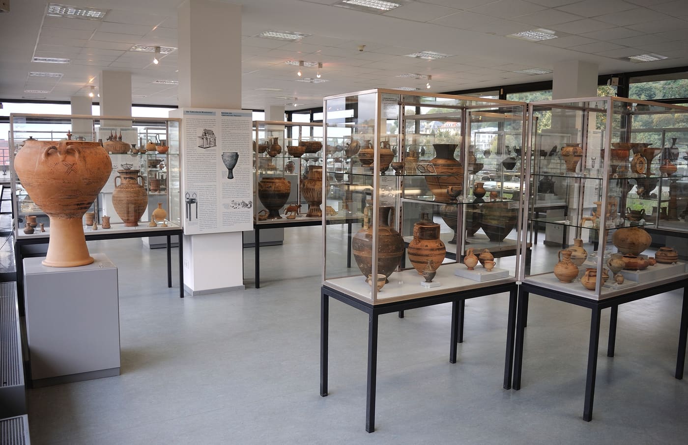 Museum of Antiquities of the University of Heidelberg