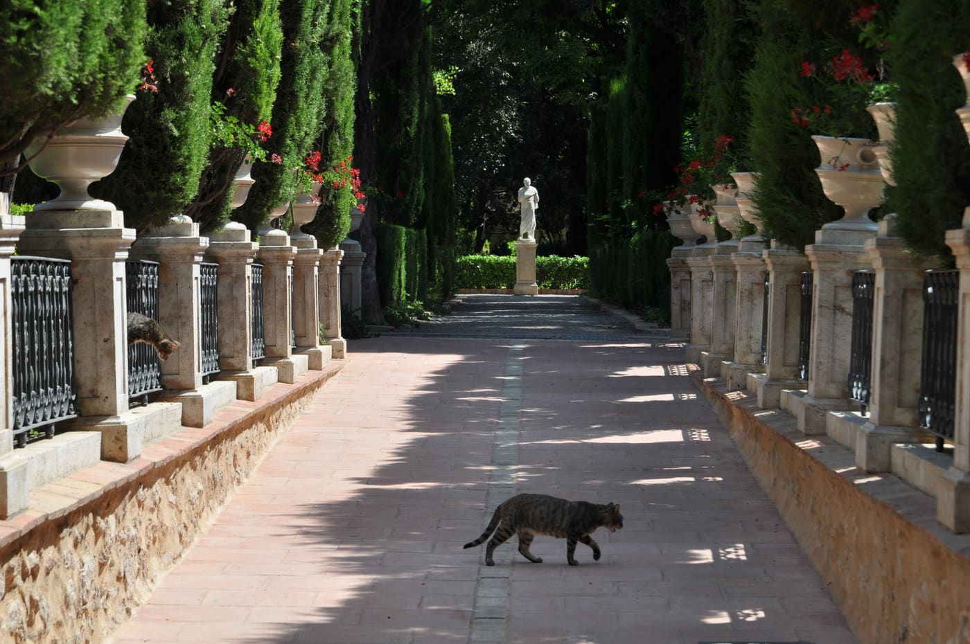 Jardín de Monforte