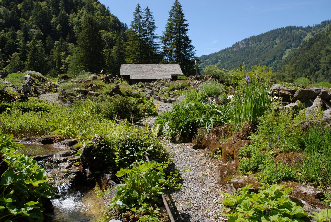 Botanical garden "La Thomasia"
