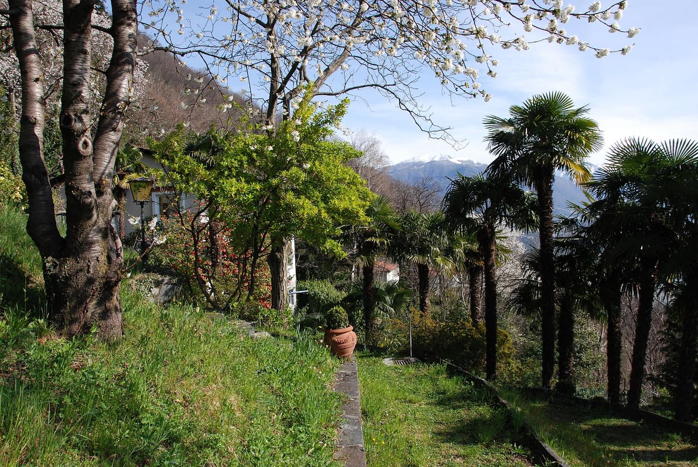 Botanical garden Canton Ticino