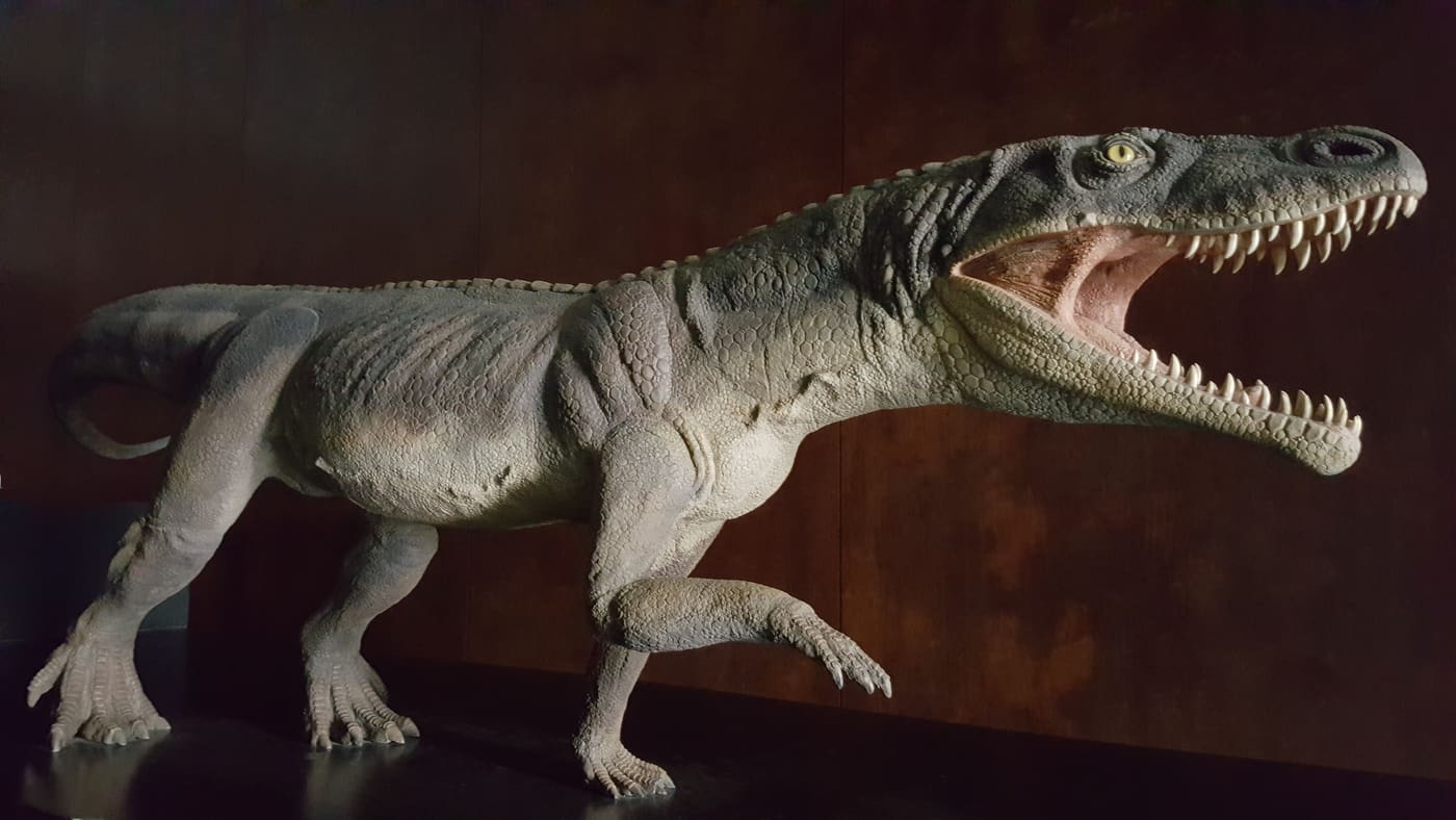 fossils museum of Monte San Giorgio