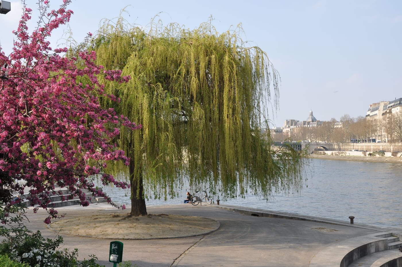 Musée de la sculpture en plein air