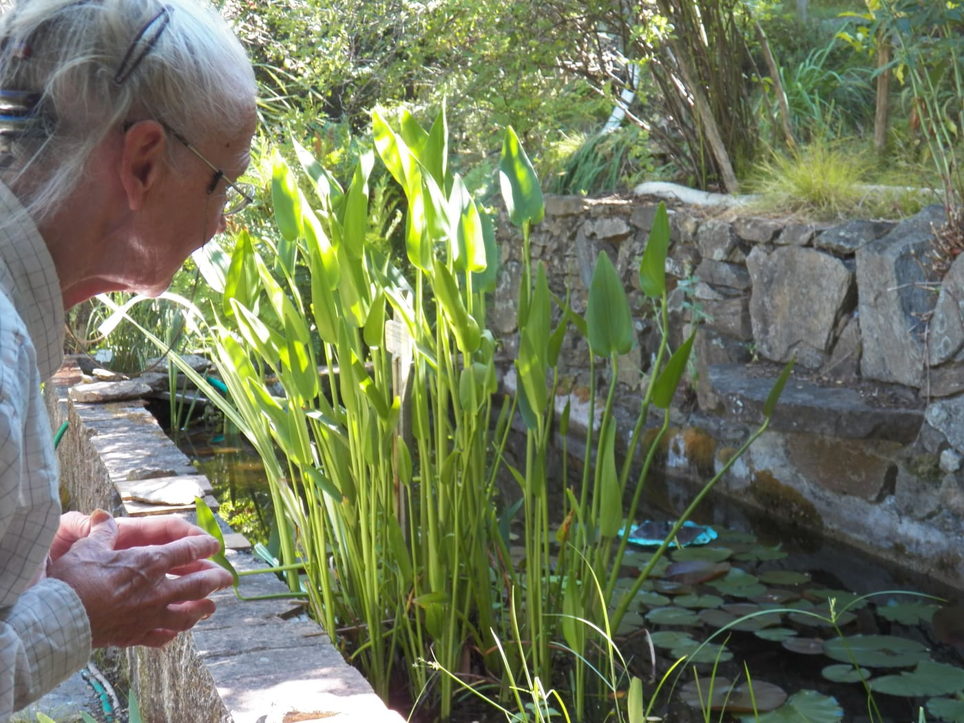 Jardin L'Hardy-Denonain à Gassin