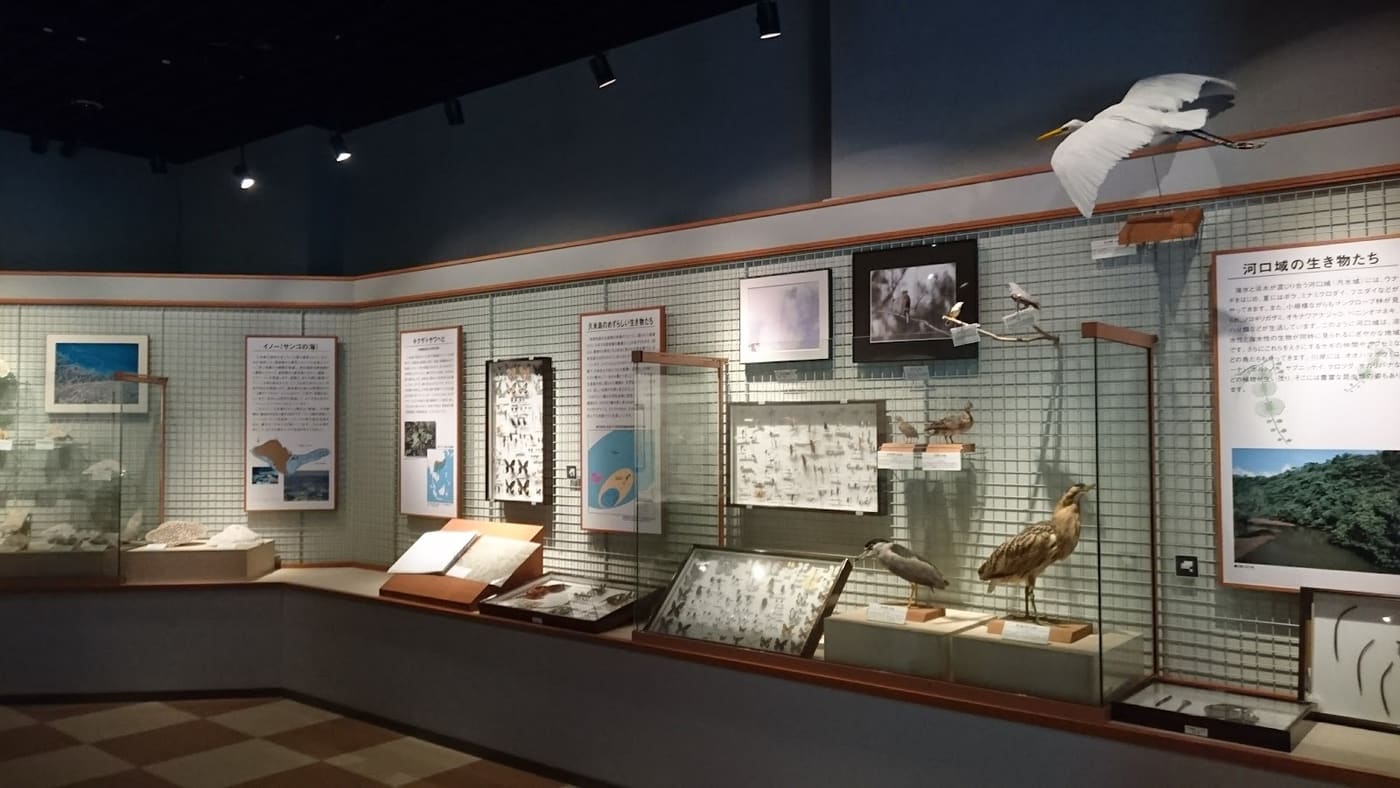 Kumejima Museum