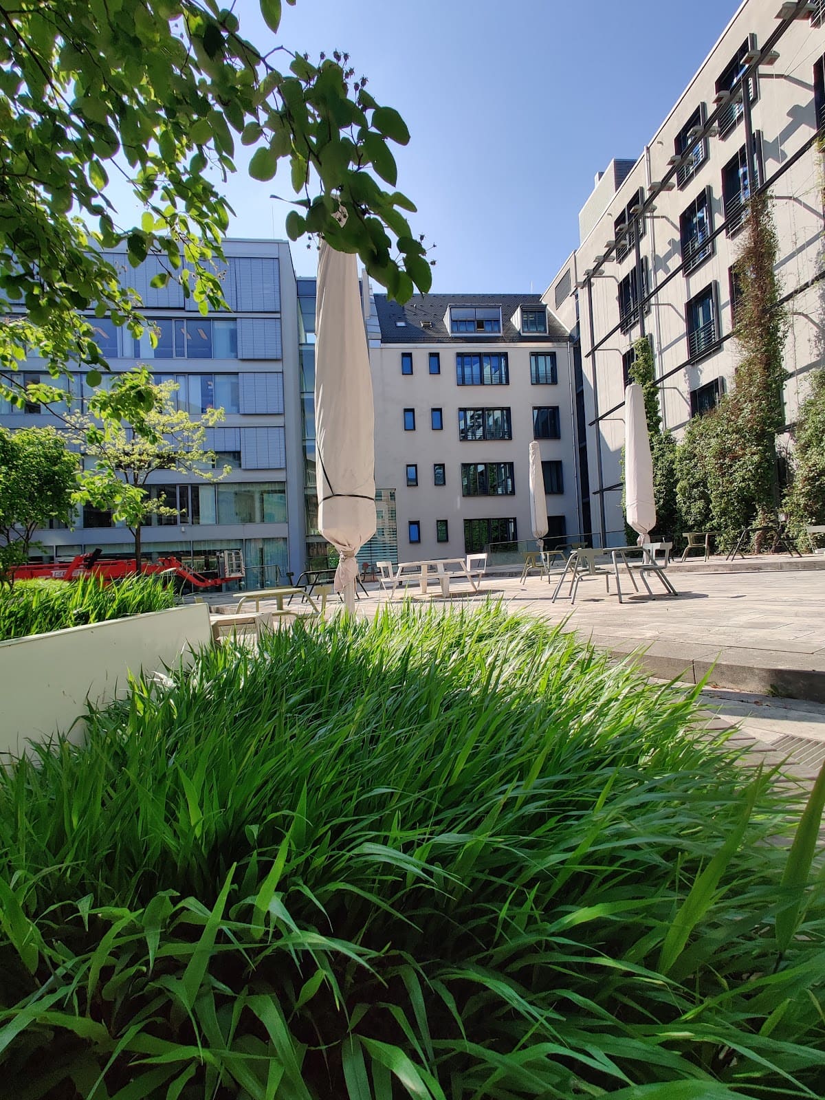 Munich School of Political Science