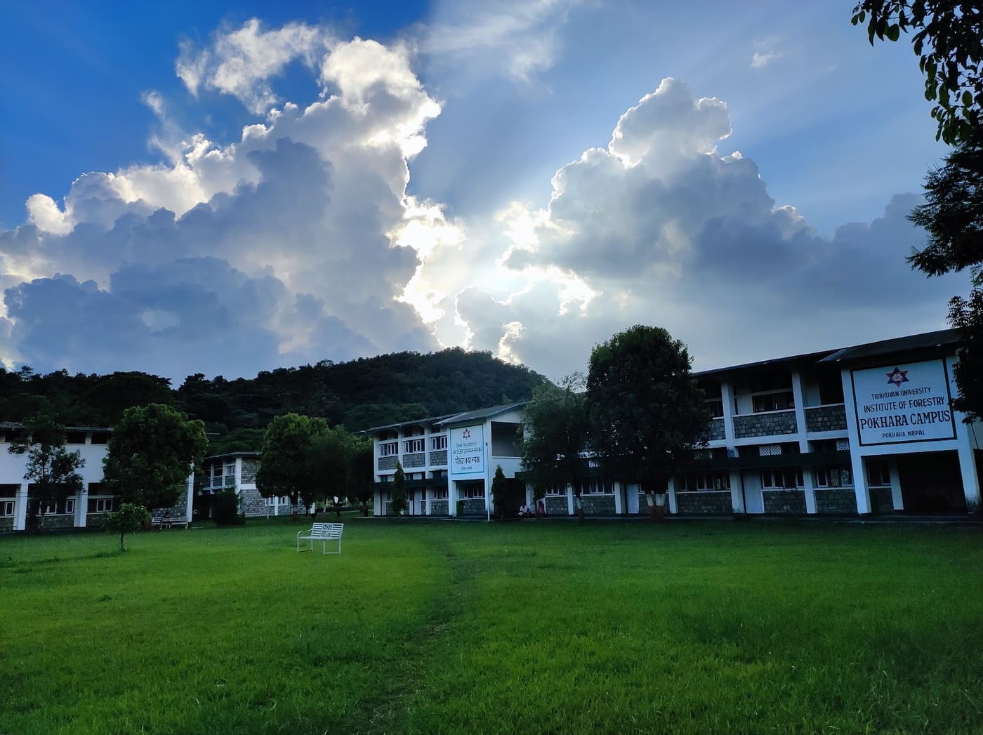 Institute of Forestry
