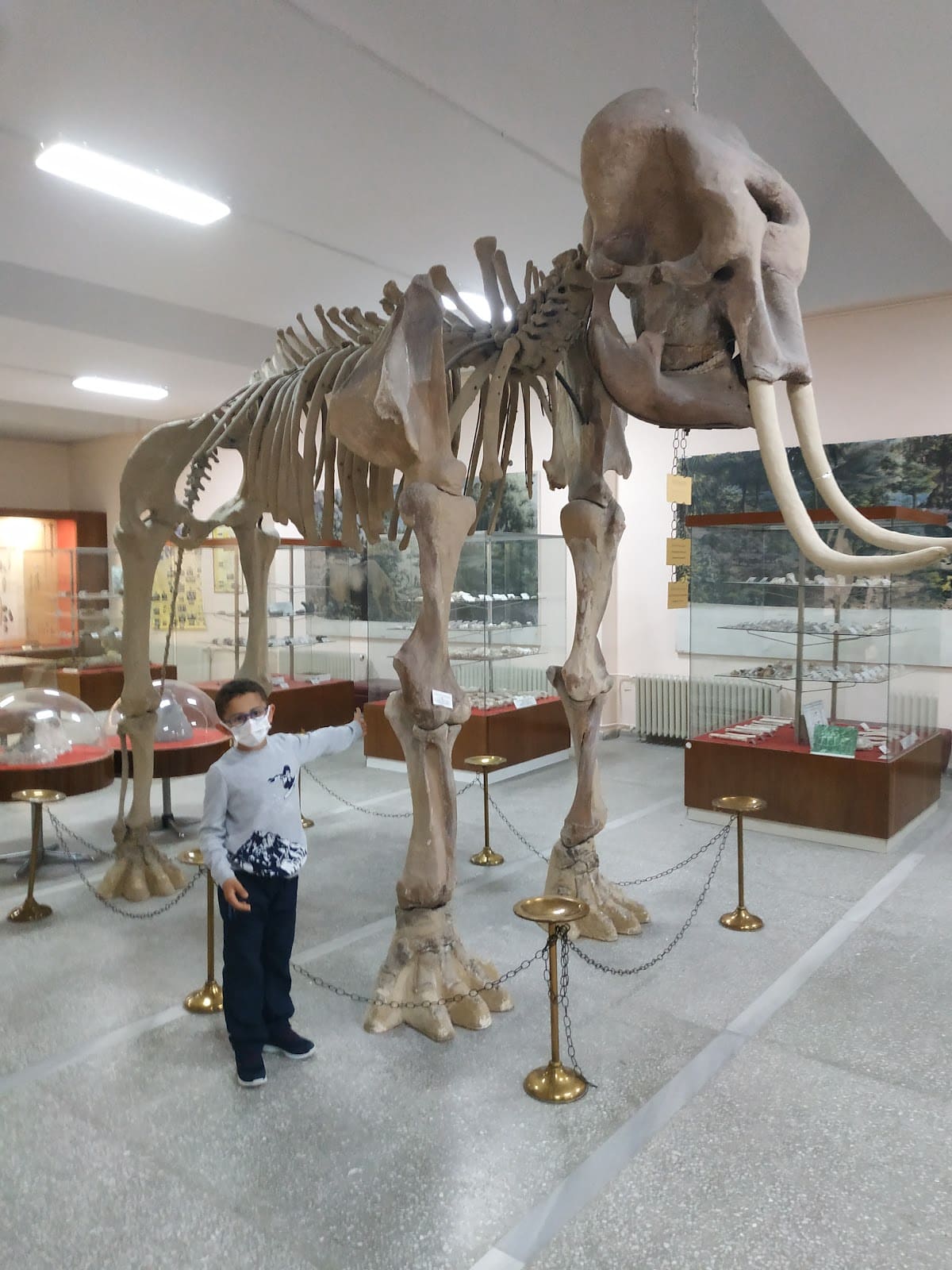 Natural History Museum of Ege University