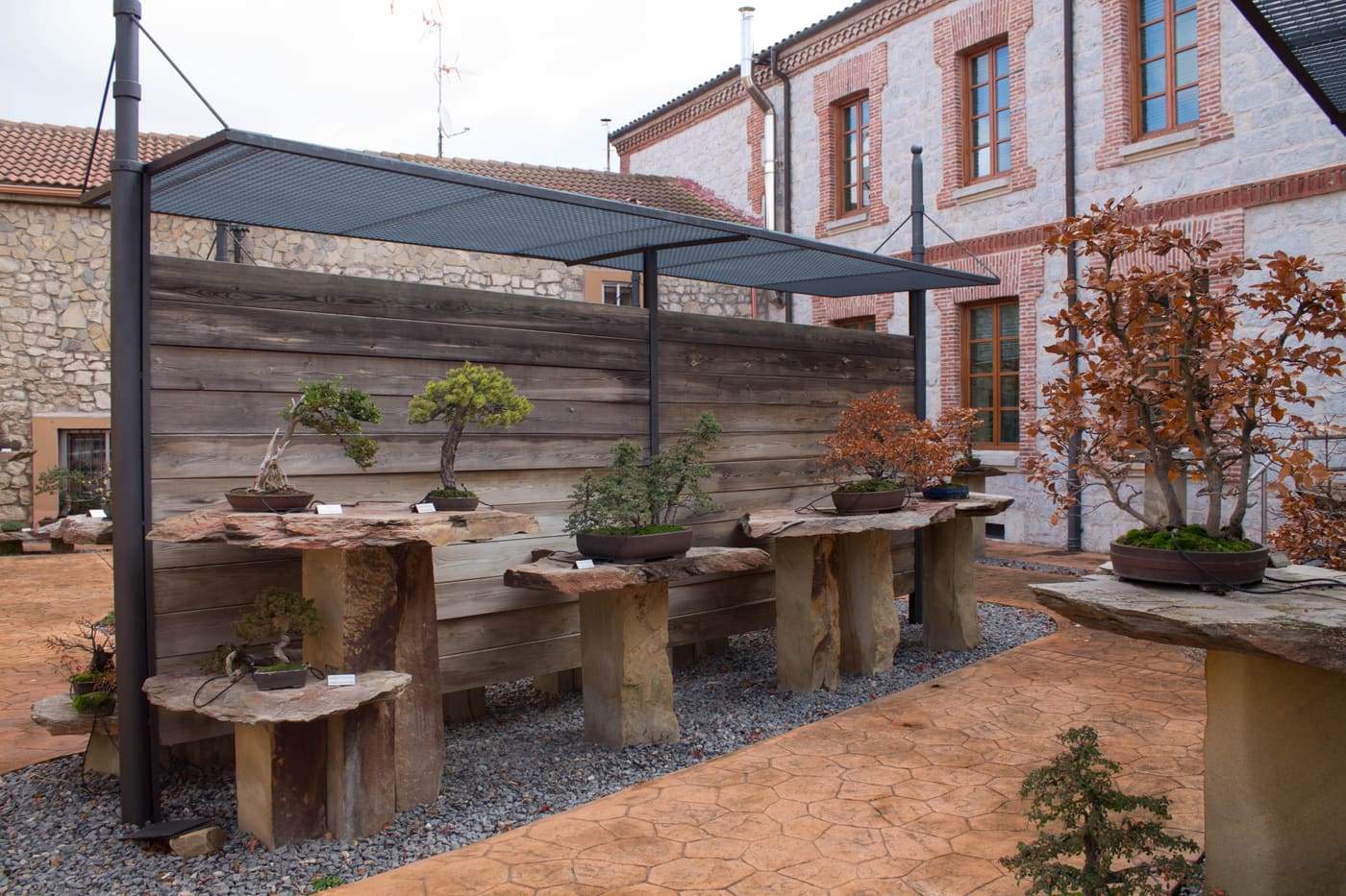 Museo del Bonsái (Villagonzalo Pedernales)