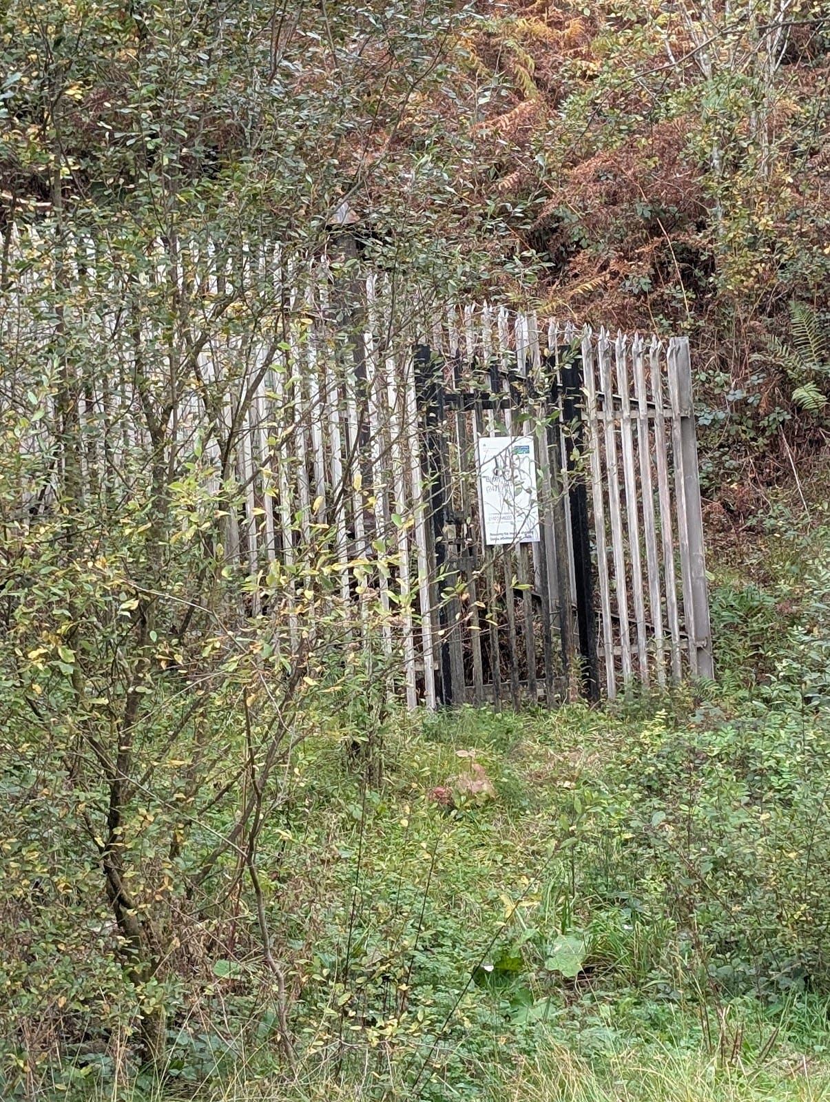 Bute Merthyr Colliery