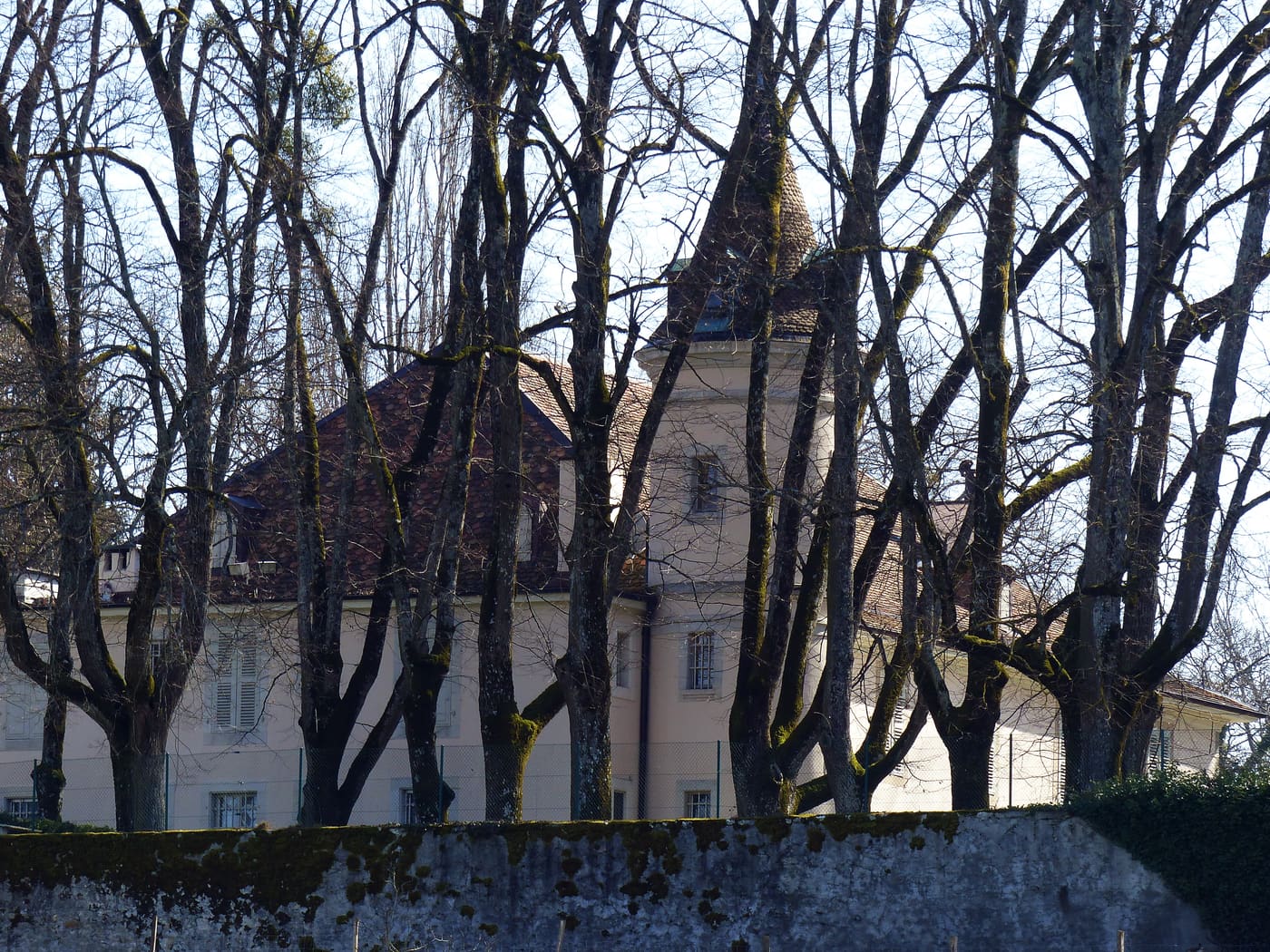 Castle and Farm