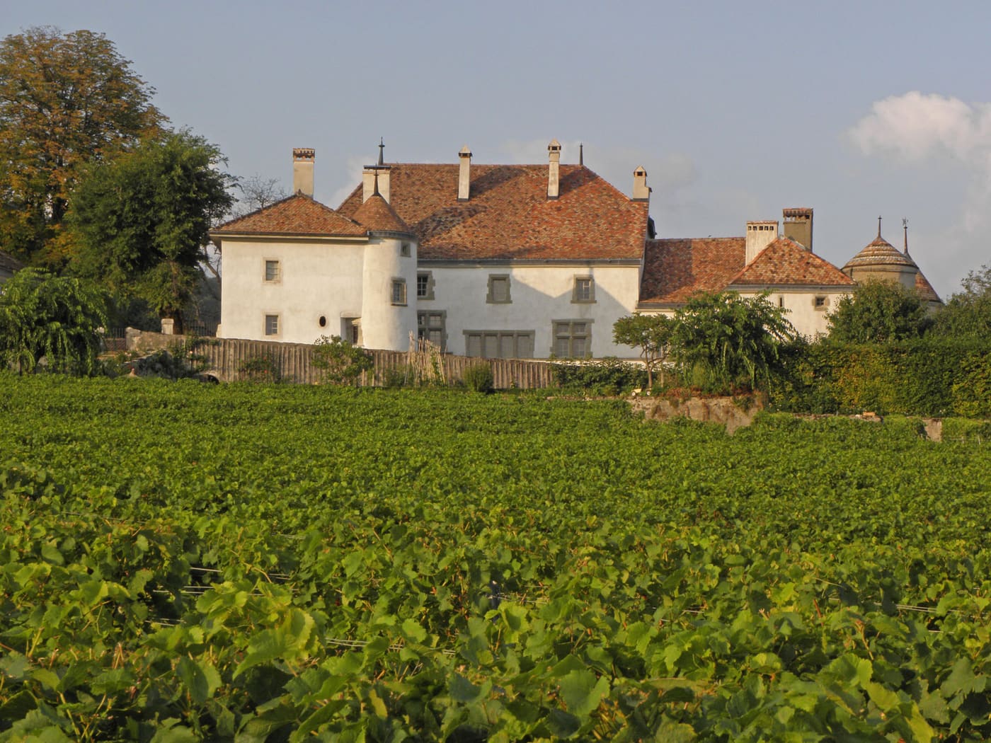 Château du Rosey avec maison de maître, maison forte, jardin et verger